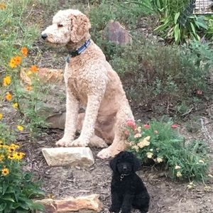 Meet your Posher, Mary